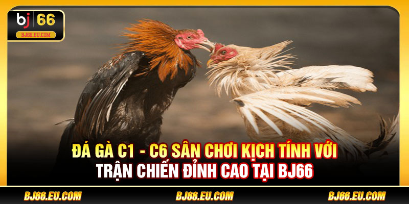 Đá gà C1 - C6
