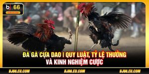 Đá gà cựa dao