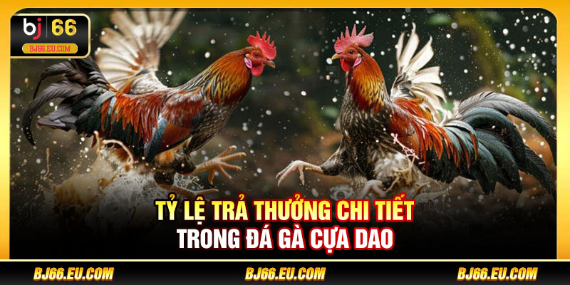 Tỷ lệ trả thưởng chi tiết trong đá gà cựa dao